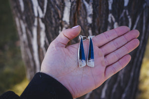 Fossilized Palm Wood Earrings