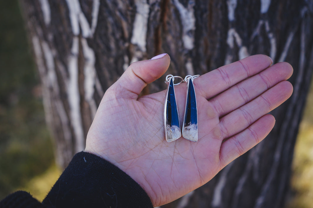 Fossilized Palm Wood Earrings