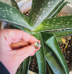 Aquamarine Ring (size 7)