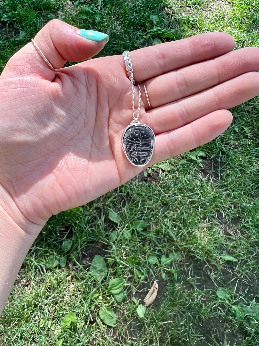 Trilobite Necklace