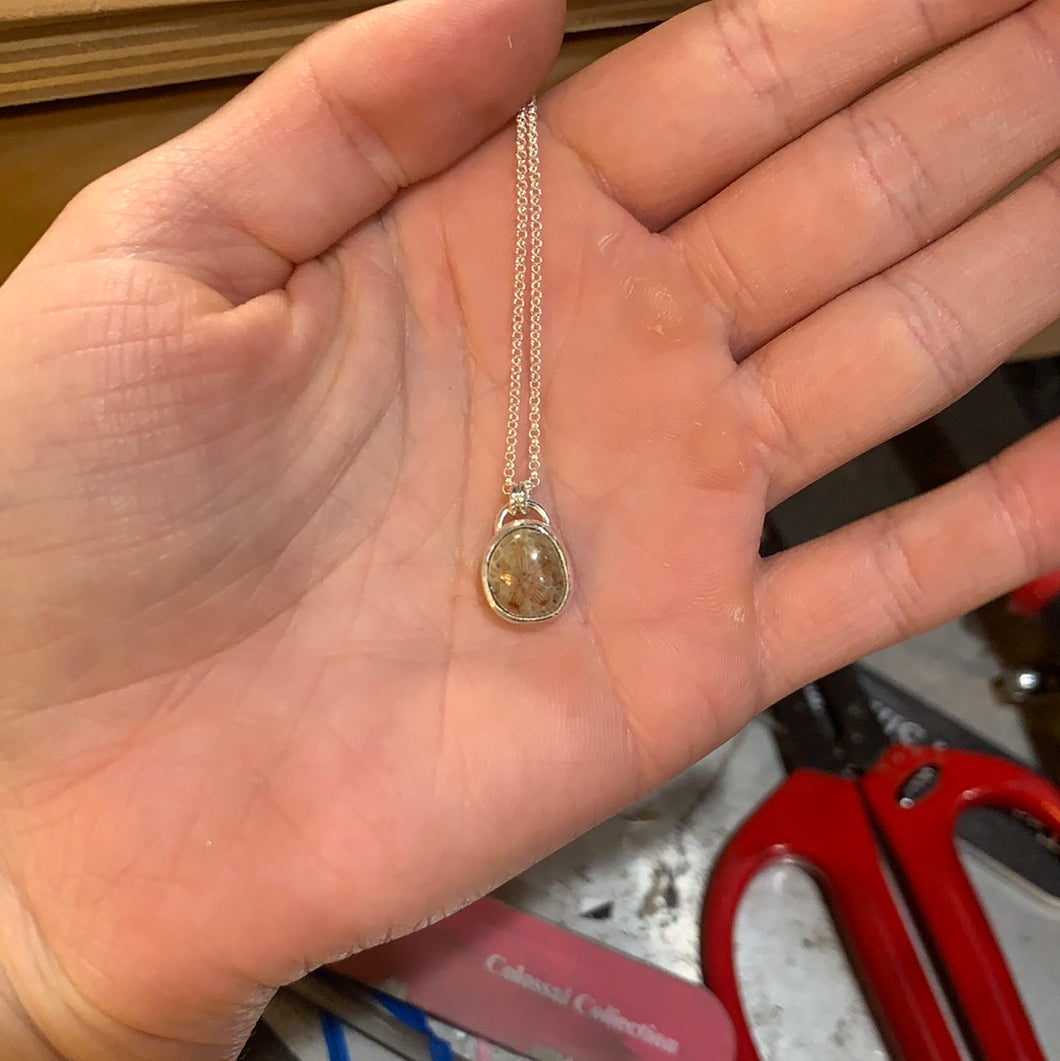 Fossilized Sand Dollar Necklace