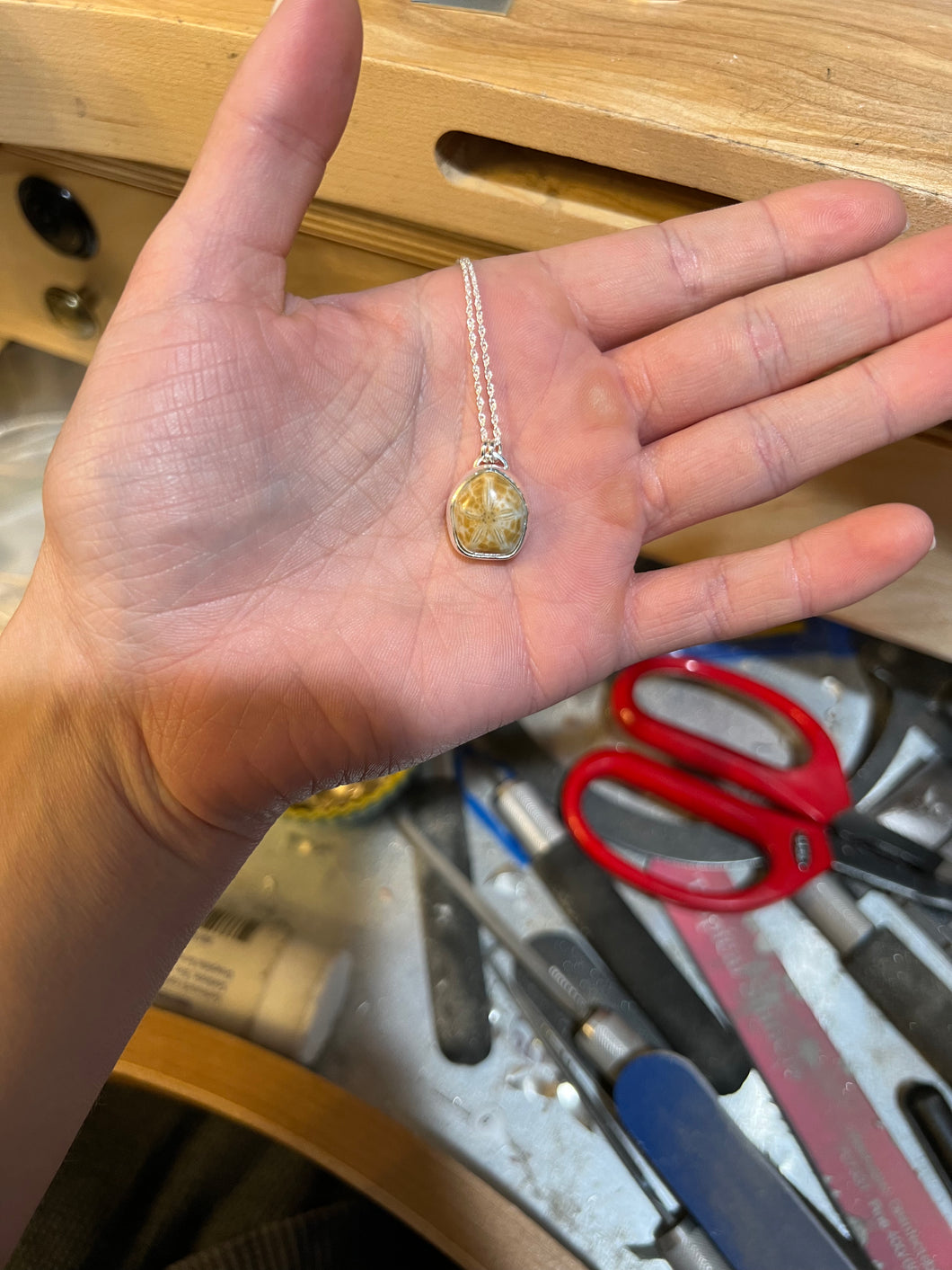 Fossilized Sand Dollar Necklace