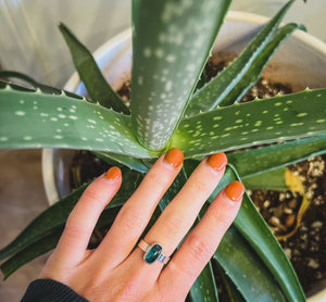 Aqua Kyanite Ring (size 5.5)